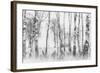 Black and White-Nel Talen-Framed Premium Photographic Print