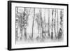 Black and White-Nel Talen-Framed Premium Photographic Print