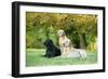 Black and Yellow Labrador Retrievers Lying-null-Framed Photographic Print