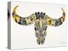 Black and Yellow Water Buffalo Skull-Cat Coquillette-Stretched Canvas