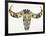 Black and Yellow Water Buffalo Skull-Cat Coquillette-Framed Giclee Print