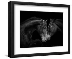 Black Andalusian mare and stallion meeting, Spain-Carol Walker-Framed Photographic Print