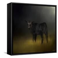 Black Angus Calf in the Moonlight-Jai Johnson-Framed Stretched Canvas