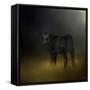 Black Angus Calf in the Moonlight-Jai Johnson-Framed Stretched Canvas