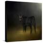 Black Angus Calf in the Moonlight-Jai Johnson-Stretched Canvas