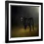 Black Angus Calf in the Moonlight-Jai Johnson-Framed Giclee Print