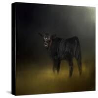 Black Angus Calf in the Moonlight-Jai Johnson-Stretched Canvas