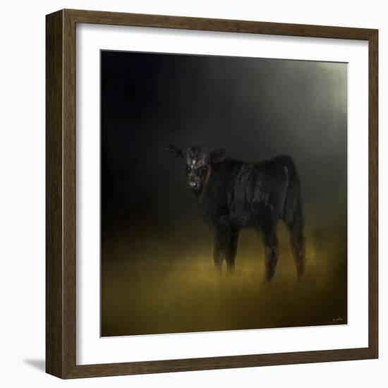 Black Angus Calf in the Moonlight-Jai Johnson-Framed Giclee Print