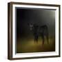 Black Angus Calf in the Moonlight-Jai Johnson-Framed Giclee Print