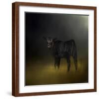 Black Angus Calf in the Moonlight-Jai Johnson-Framed Giclee Print