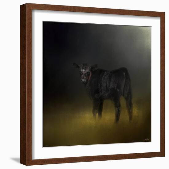 Black Angus Calf in the Moonlight-Jai Johnson-Framed Giclee Print