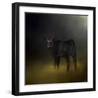 Black Angus Calf in the Moonlight-Jai Johnson-Framed Giclee Print