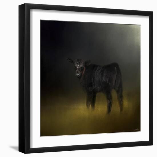 Black Angus Calf in the Moonlight-Jai Johnson-Framed Giclee Print