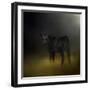 Black Angus Calf in the Moonlight-Jai Johnson-Framed Giclee Print