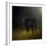 Black Angus Calf in the Moonlight-Jai Johnson-Framed Giclee Print