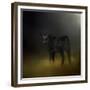 Black Angus Calf in the Moonlight-Jai Johnson-Framed Giclee Print