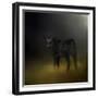 Black Angus Calf in the Moonlight-Jai Johnson-Framed Giclee Print