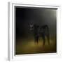 Black Angus Calf in the Moonlight-Jai Johnson-Framed Giclee Print