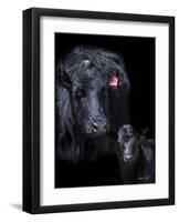 Black Angus-Barry Hart-Framed Giclee Print