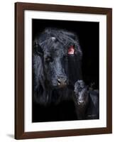 Black Angus-Barry Hart-Framed Art Print