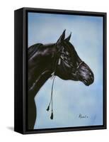 Black Arabian-Jenny Newland-Framed Stretched Canvas