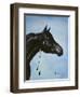 Black Arabian-Jenny Newland-Framed Giclee Print