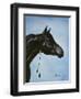 Black Arabian-Jenny Newland-Framed Giclee Print