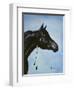 Black Arabian-Jenny Newland-Framed Giclee Print