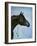 Black Arabian-Jenny Newland-Framed Giclee Print