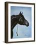 Black Arabian-Jenny Newland-Framed Giclee Print