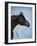 Black Arabian-Jenny Newland-Framed Giclee Print