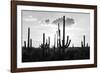 Black Arizona Series - Silhouettes of Cactus-Philippe Hugonnard-Framed Photographic Print