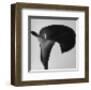 Black Arum II-Pierre Michaud-Framed Art Print