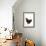 Black Australorp Chicken-null-Framed Photographic Print displayed on a wall