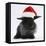 Black Baby Dutch X Lionhead Rabbit with Father Christmas Hat On-Mark Taylor-Framed Stretched Canvas