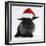 Black Baby Dutch X Lionhead Rabbit with Father Christmas Hat On-Mark Taylor-Framed Photographic Print