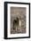 Black-Backed Jackal (Canis Mesomelas), Skeleton Coast, Namibia, Africa-Thorsten Milse-Framed Photographic Print