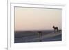 Black-Backed Jackals (Canis Mesomelas), Skeleton Coast, Namibia, Africa-Thorsten Milse-Framed Photographic Print