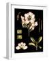 Black Background Floral Studies II-Vision Studio-Framed Art Print