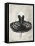 Black Ballet Dress I-Ethan Harper-Framed Stretched Canvas