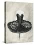 Black Ballet Dress I-Ethan Harper-Stretched Canvas