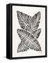 Black Banana Leaves-Cat Coquillette-Framed Stretched Canvas