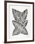 Black Banana Leaves-Cat Coquillette-Framed Giclee Print