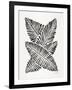 Black Banana Leaves-Cat Coquillette-Framed Giclee Print