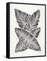 Black Banana Leaves-Cat Coquillette-Framed Stretched Canvas