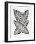 Black Banana Leaves-Cat Coquillette-Framed Giclee Print