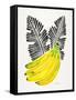 Black Bananas-Cat Coquillette-Framed Stretched Canvas