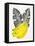 Black Bananas-Cat Coquillette-Framed Stretched Canvas