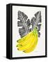 Black Bananas-Cat Coquillette-Framed Stretched Canvas