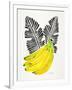 Black Bananas-Cat Coquillette-Framed Giclee Print